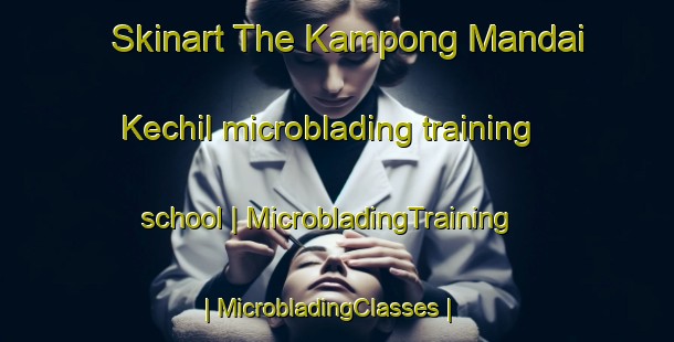 Skinart The Kampong Mandai Kechil microblading training school | MicrobladingTraining | MicrobladingClasses | SkinartTraining-Singapore